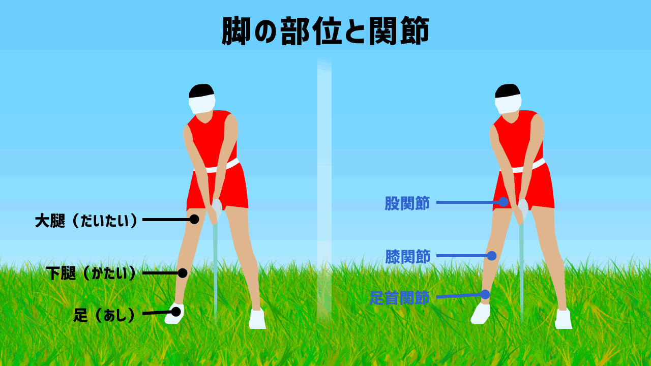 ゴルフスイングの下半身リードと正しい膝の動き ゴルフは哲学